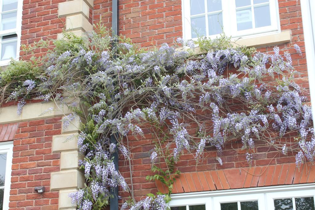 Austons Down Farm B&B Claverdon Eksteriør bilde
